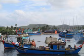 Tiếp tục tổ chức các Đoàn công tác hướng dẫn địa phương chống khai thác IUU