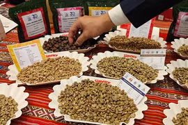 Bất ngờ với danh sách doanh nghiệp xuất khẩu cà phê rang xay hàng đầu Việt Nam