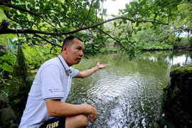 Người hồi sinh loài cá tiến Vua 