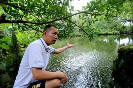 Người hồi sinh loài cá tiến Vua 