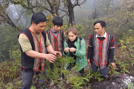 Dãy núi Ngọc Ruông - “món quà” của tạo hóa