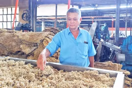 “Chuyên gia sáng kiến” của Công ty Cao su Chư Prông