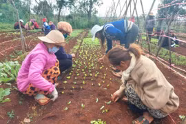 Đak Đoa quan tâm đào tạo nghề cho lao động nông thôn 