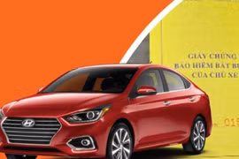 Infographics: Quy định về bảo hiểm bắt buộc trách nhiệm dân sự của chủ xe cơ giới