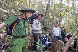 Kỳ 3: Vì màu xanh của rừng, máu chiến sĩ Công an đã đổ