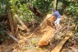 Kỳ 2: Cuộc chiến không cân sức