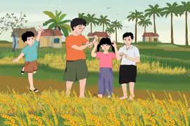 Cánh đồng cổ tích 