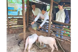 Ia Grai tăng cường truyền thông về giảm nghèo bền vững