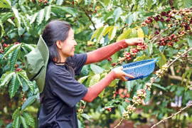 Người trẻ trở về