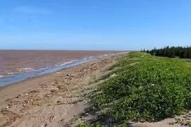 Nam Định: Đi trải nghiệm bắt ngao, học sinh và phụ huynh bị nước cuốn tử vong