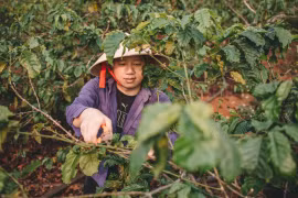 Nguyễn Thanh Hoàng – Chàng trai “đưa” Tây Nguyên đến với mọi miền