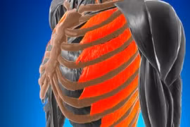 Những nguyên nhân phổ biến làm đau cơ liên sườn