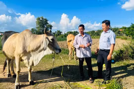 An Tân giúp người dân tiếp cận chính sách giảm nghèo