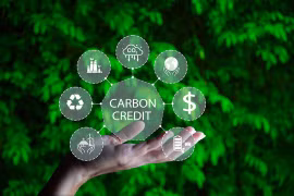 Tín chỉ carbon: Tạo doanh thu, giảm phát thải