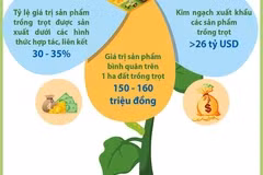 Kim ngạch xuất khẩu các sản phẩm trồng trọt hướng đến mục tiêu 26 tỷ USD 