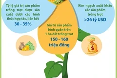 Kim ngạch xuất khẩu các sản phẩm trồng trọt hướng đến mục tiêu 26 tỷ USD 