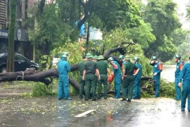 Phát huy mạnh mẽ 'tình dân tộc, nghĩa đồng bào'