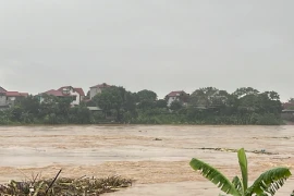 Vụ sập cầu Phong Châu: Sáng 10-9 vẫn chưa thể tiến hành cứu hộ, cứu nạn do nước lũ dâng cao, chảy xiết