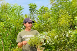 Chư Sê đẩy mạnh sản xuất nông nghiệp theo tiêu chuẩn VietGAP