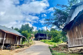 Trải nghiệm với Hà Đông