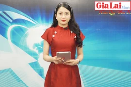 Gia Lai 48h: Thu hút đầu tư: Lựa chọn chiến lược hợp lý 