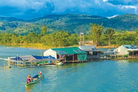 Trầm tích nơi ngã ba sông 