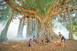 Báu vật buôn làng 