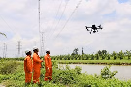 Nợ vay vượt 2 tỉ USD, EVNNPT chi hơn 5 tỉ đồng/ngày để trả lãi