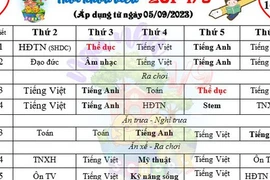 Bộ GD-ĐT chỉ đạo rà soát vụ chèn môn 'tự nguyện' vào chính khóa