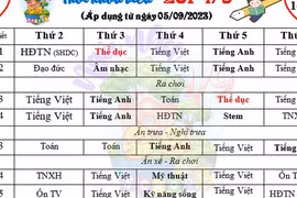 Bộ GD-ĐT chỉ đạo rà soát vụ chèn môn 'tự nguyện' vào chính khóa