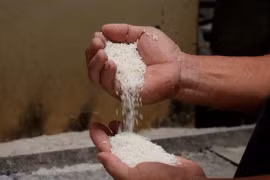 Thương hiệu gạo bắt đầu từ đâu?