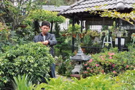 Cách người Đà Lạt thể hiện tình yêu thành phố