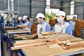 Tạo điều kiện NHNN và hệ thống các tổ chức tín dụng tháo gỡ khó khăn về tăng trưởng tín dụng cho sản xuất, kinh doanh