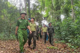 Kbang quyết liệt ngăn chặn hành vi xâm hại rừng