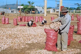 Mang Yang đẩy mạnh phong trào nông dân thi đua sản xuất kinh doanh giỏi