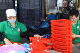 Từ 1-7-2025: Đã rút BHXH 1 lần vẫn được hưởng lương hưu?