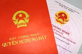 Ủy ban nhân dân tỉnh Gia Lai trả lời cử tri TP. Pleiku