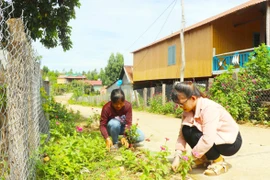 Phụ nữ Gia Lai chung tay xây dựng nông thôn mới