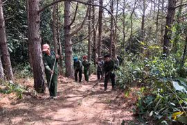 Cộng đồng trách nhiệm giữ rừng