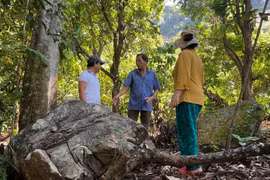 Ở thị trấn lo... đá đè