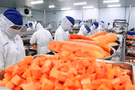 Trung Quốc, Mỹ tăng thu mua rau quả Việt Nam