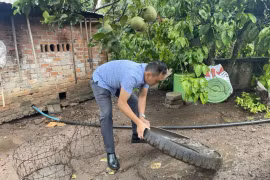 Đắk Lắk: Thêm một trường hợp mắc bệnh viêm não Nhật Bản