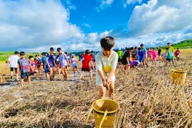 Du lịch trải nghiệm gắn với giáo dục: Nhiều triển vọng 