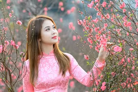 Lịch nghỉ Tết Nguyên đán Giáp Thìn và nghỉ Lễ Quốc khánh năm 2024