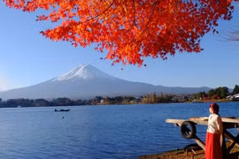 Điểm ngắm lá phong nhuộm đỏ mùa thu đẹp nhất xứ Phù Tang