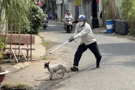 Bệnh dại đang 'nóng', Đắk Nông chỉ đạo các địa phương thành lập đội bắt chó, mèo