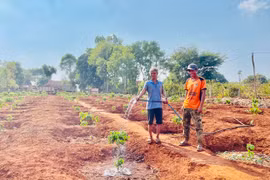 Sức sống mới ở làng tái định cư