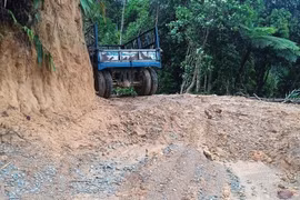 Phá rừng để làm đường dây điện 110kV: Quảng Nam chỉ đạo 'nóng'