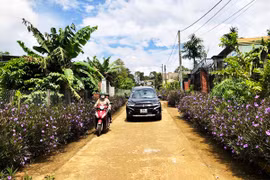 Hoài niệm về miền đất bazan