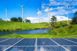 'Nâu' cũng cần tín dụng xanh